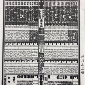 朝乃山グッズ2024年　反物、番付表 Amazon.co.jp: 朝乃山グッズ2024年 反物番付表 : おもちゃ