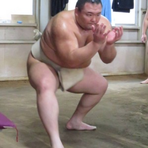 朝乃山、真の相撲力へ | 朝乃山後援会 大相撲力士・朝乃山関を応援する